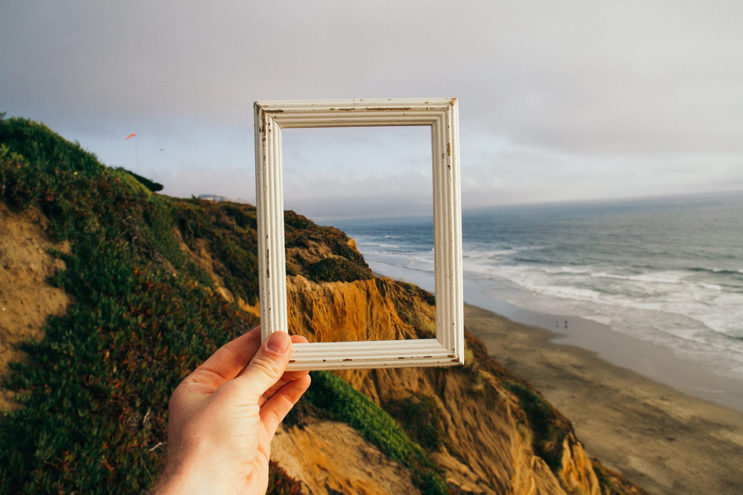 pine watt 3 Xwxya43hE unsplash scaled